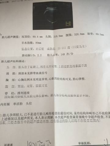 journal_insert_pic_877521634
