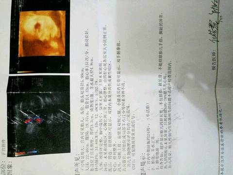 journal_insert_pic_878991678