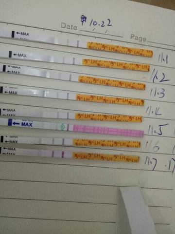 journal_insert_pic_879321416