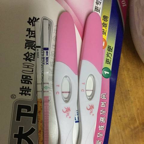 journal_insert_pic_880031748
