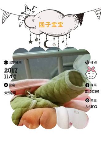 journal_insert_pic_880390016