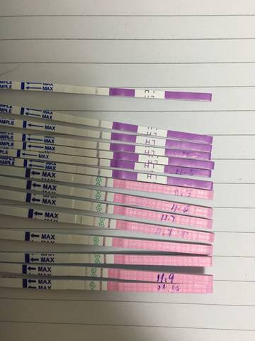 journal_insert_pic_881510510