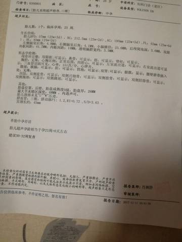 journal_insert_pic_881962460