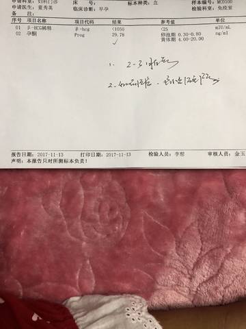 journal_insert_pic_883328847