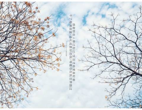 journal_insert_pic_882936579