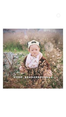 journal_insert_pic_882936498