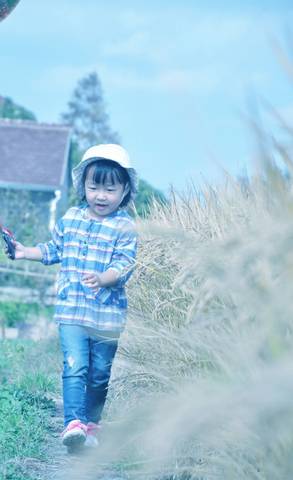 journal_insert_pic_883935375