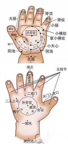 journal_insert_pic_884772838