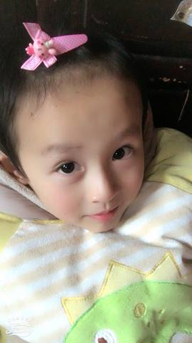journal_insert_pic_885528116