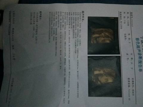 journal_insert_pic_885459475