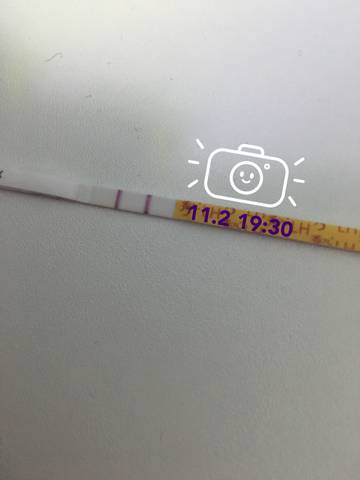 journal_insert_pic_886688001