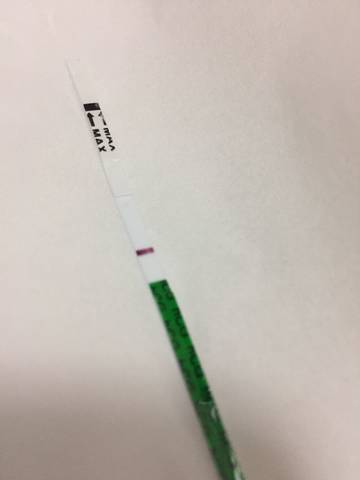 journal_insert_pic_886584928