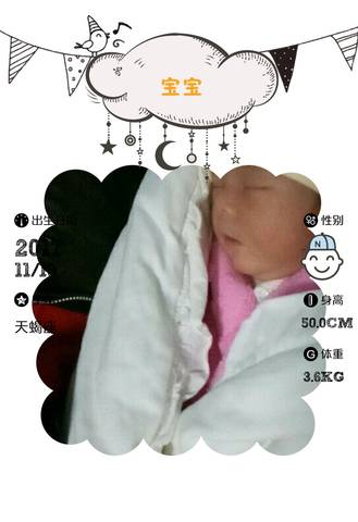 journal_insert_pic_887775666