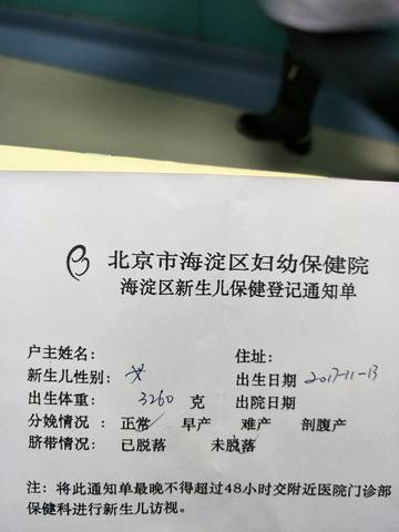 journal_insert_pic_888336123