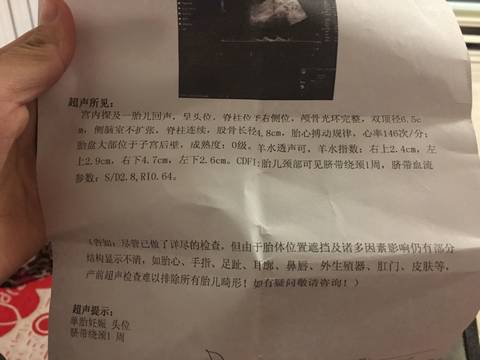 journal_insert_pic_888206192