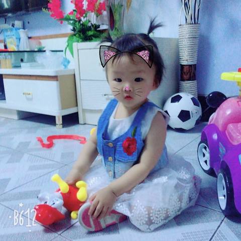 journal_insert_pic_888228127