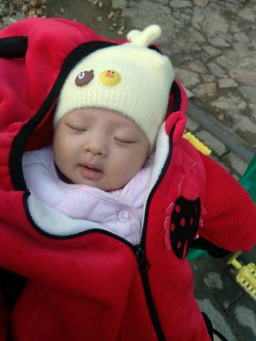 journal_insert_pic_889838329