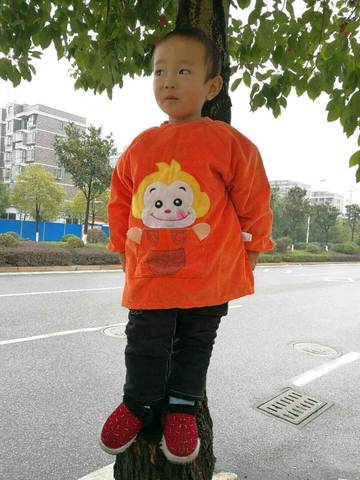 journal_insert_pic_890011376