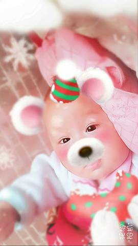 journal_insert_pic_890235496