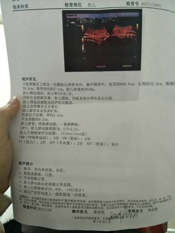 journal_insert_pic_891067694