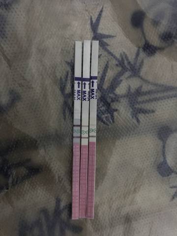 journal_insert_pic_891622450