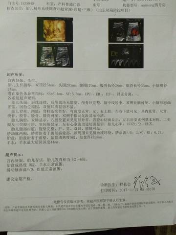 journal_insert_pic_893031575