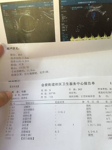 journal_insert_pic_894295394