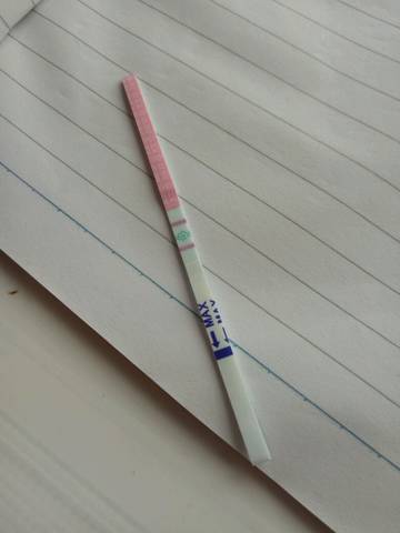 journal_insert_pic_894817447