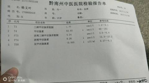 journal_insert_pic_895540014