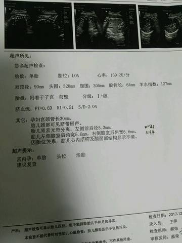 journal_insert_pic_895867460