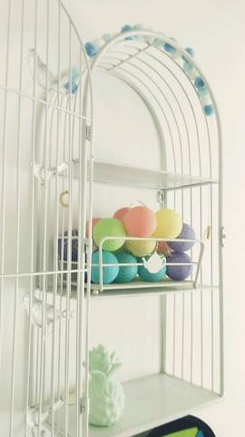 journal_insert_pic_896642151