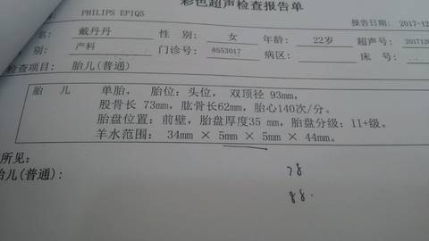 journal_insert_pic_899251905