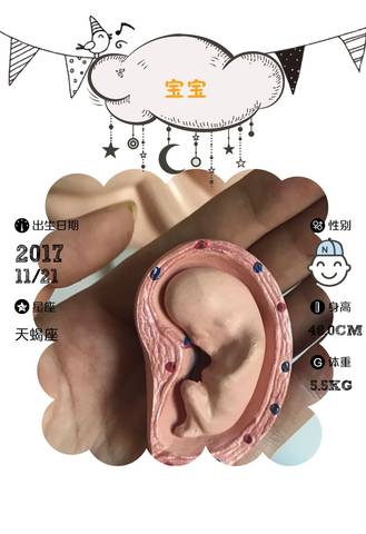 journal_insert_pic_899930470