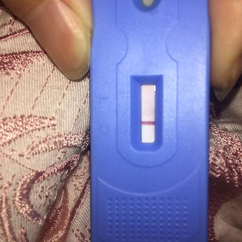 journal_insert_pic_900740366