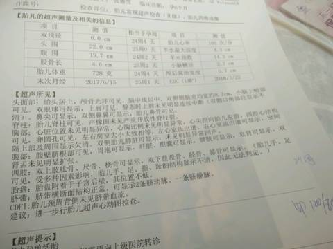 journal_insert_pic_900539896