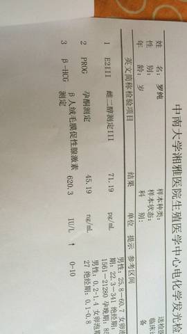 journal_insert_pic_901741473