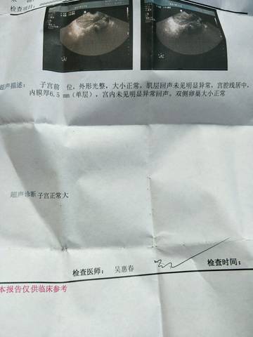 journal_insert_pic_901826933