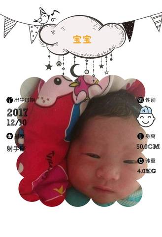 journal_insert_pic_903674675