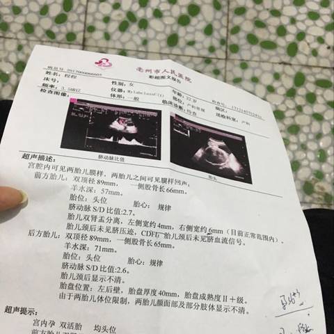 journal_insert_pic_905333146