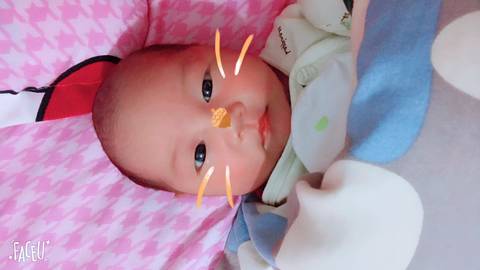 journal_insert_pic_905984639