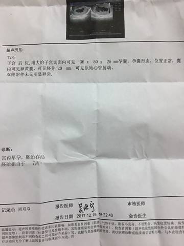 journal_insert_pic_905870493
