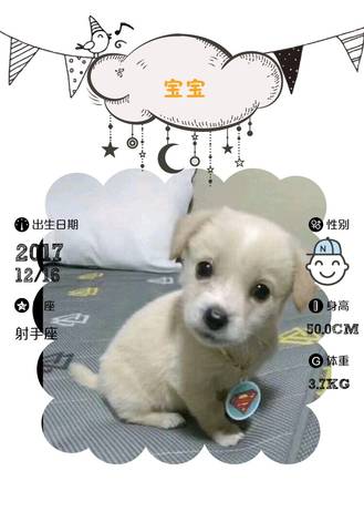 journal_insert_pic_905926933