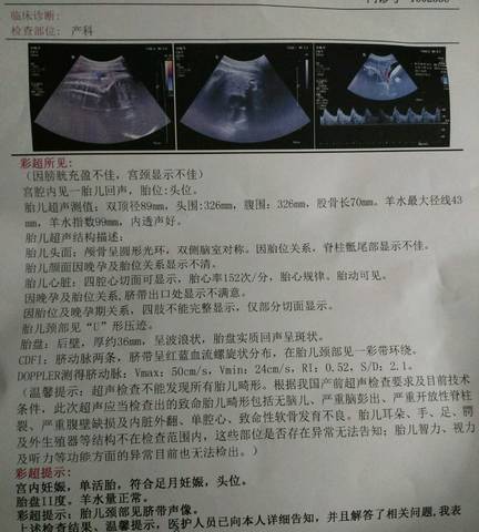 journal_insert_pic_906716069