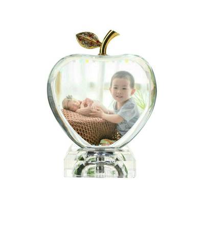 journal_insert_pic_906478920