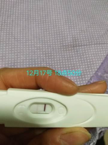 journal_insert_pic_908015646
