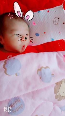 journal_insert_pic_908401266
