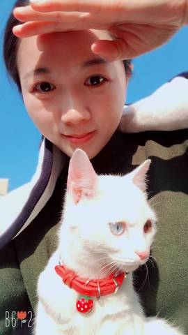 journal_insert_pic_909331042