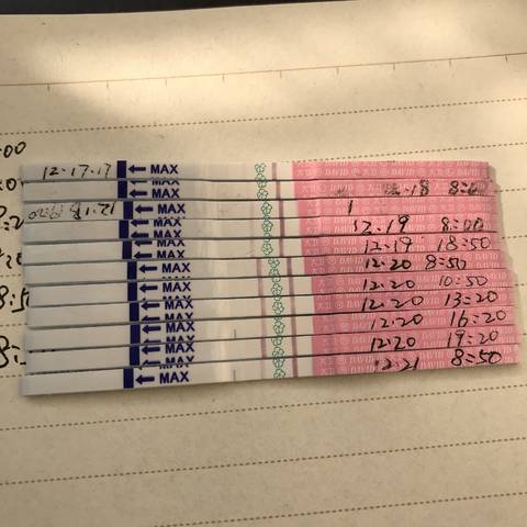 journal_insert_pic_908858395