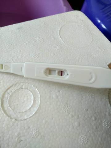 journal_insert_pic_910976277