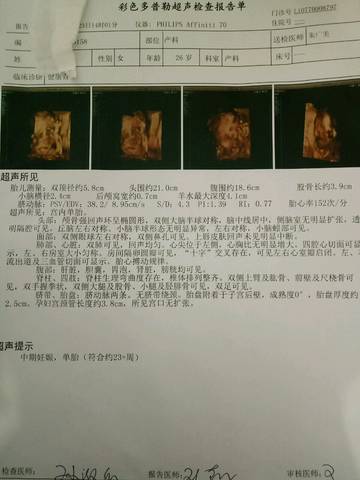 journal_insert_pic_911626577